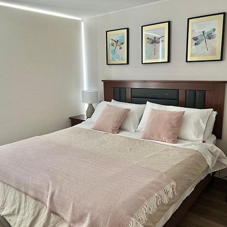 Apartamentos Concepcion Centro Dış mekan fotoğraf